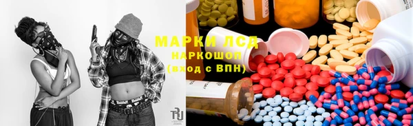 spice Нея