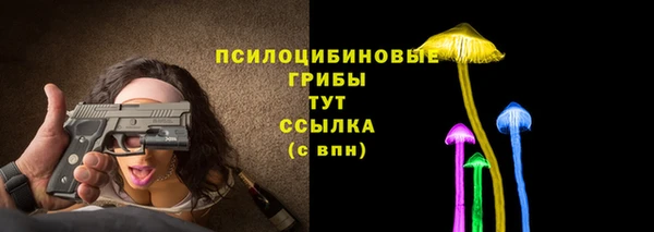 spice Нея