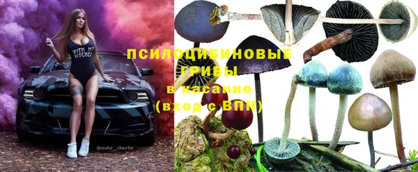 мескалин Губаха